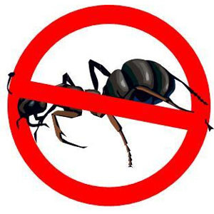 ant-control-richmond-hill