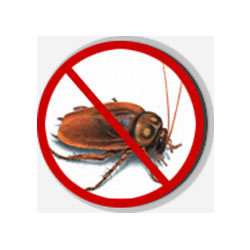 cockroach-control-richmond-hill